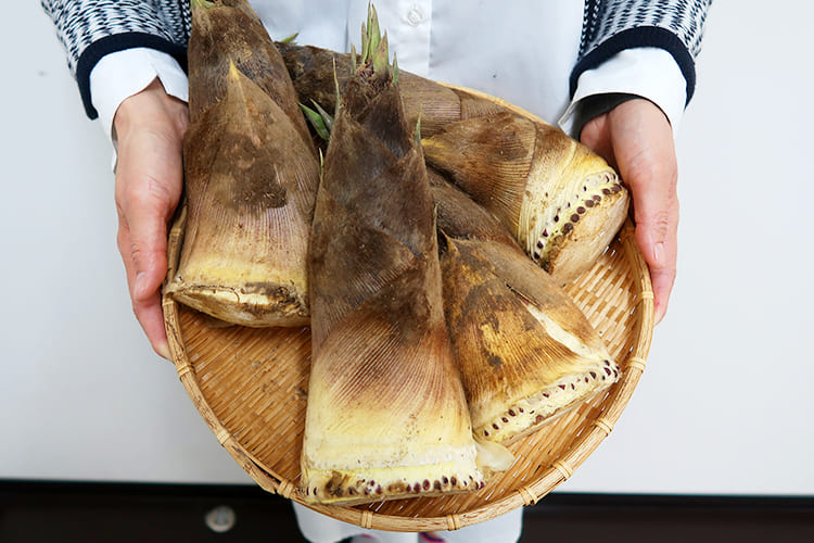 山形の朝堀りたけのこ(谷定孟宗)約3kg