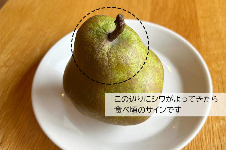 厳選洋梨ゴールドラフランス