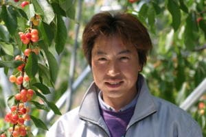さくらんぼ佐藤錦 母の日用