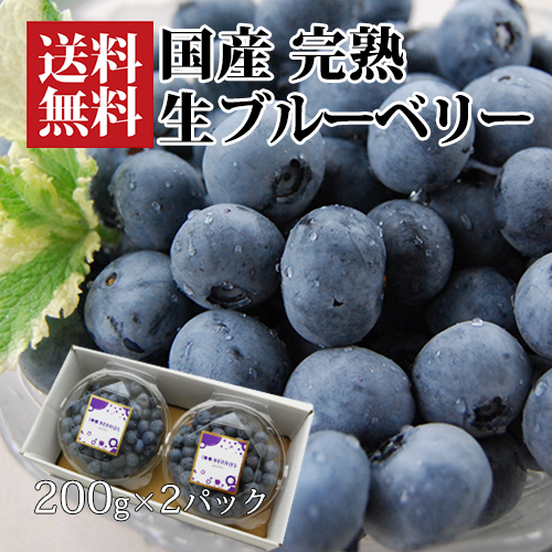 ブルーベリー