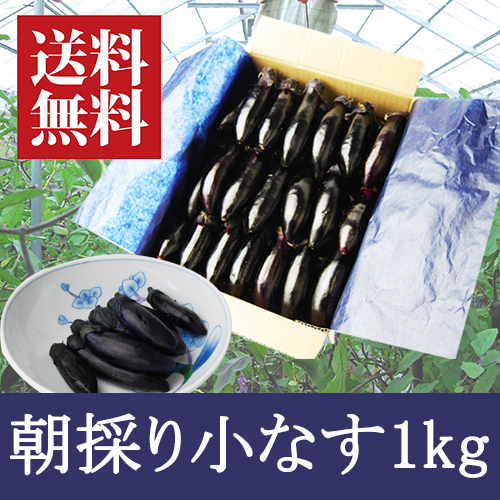 朝採り小なす1kg