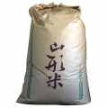 ��19ǯ�ٿ��ơ���������Υ����ҥ���30kg���������̵����