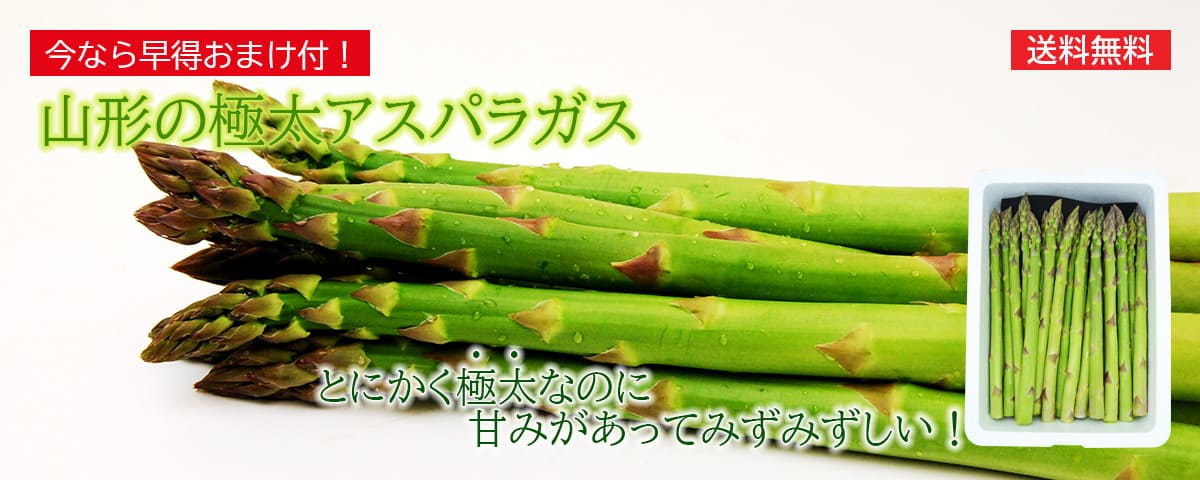 早得アスパラガス