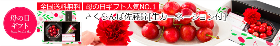 【母の日ギフト】さくらんぼ佐藤錦100gダイヤパック入[生カーネーション付]