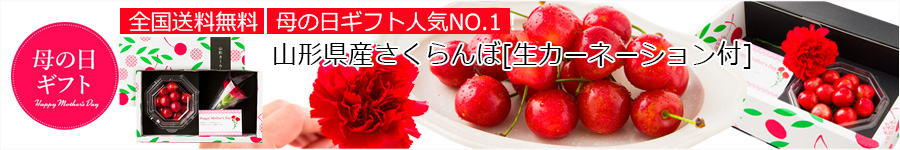 【母の日ギフト】さくらんぼ佐藤錦100gダイヤパック入[生カーネーション付]