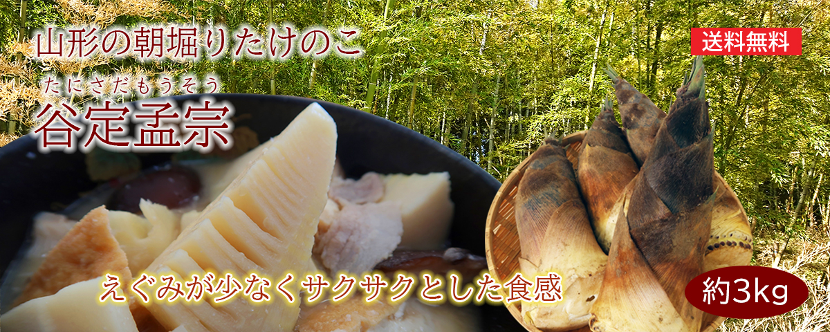 山形の朝堀りたけのこ(谷定孟宗)約3kg