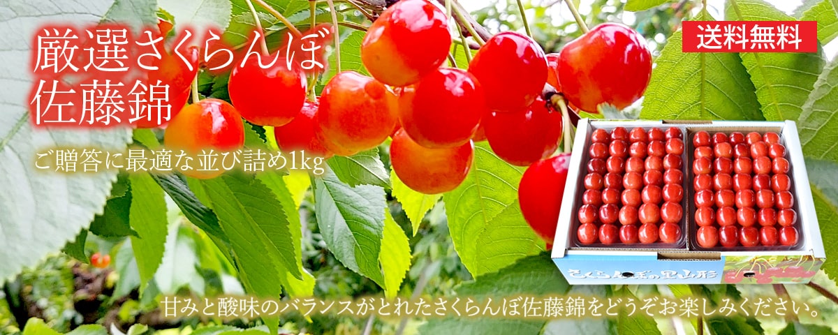 厳選さくらんぼ佐藤錦