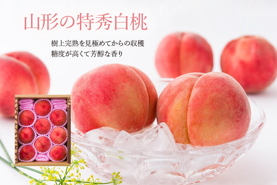 雪国育ちの自然薯1kg(2～3本入)