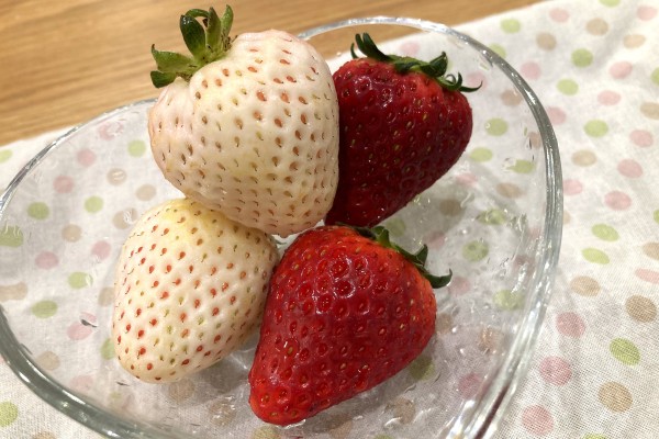 紅白いちごで春をお祝い♪