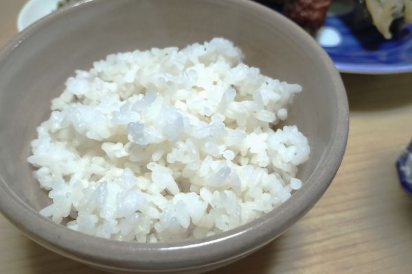 日本酒の原料を味わえる貴重な体験をぜひ!食べる酒米、選べる5銘柄(8種類)
