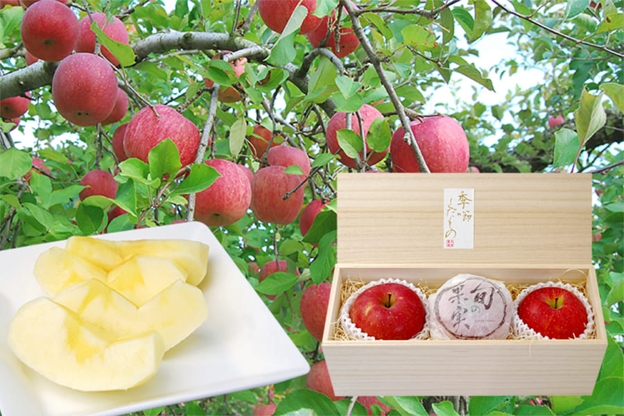 《旬果》プレミアム蜜入りふじりんご約1kg