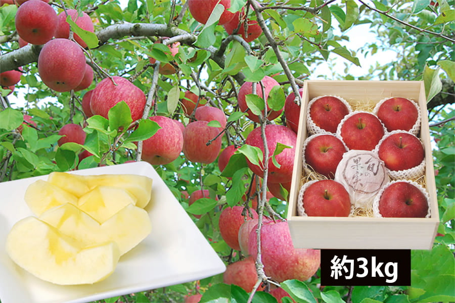 《旬果》プレミアムふじりんご約3kg(8玉)[桐箱入]