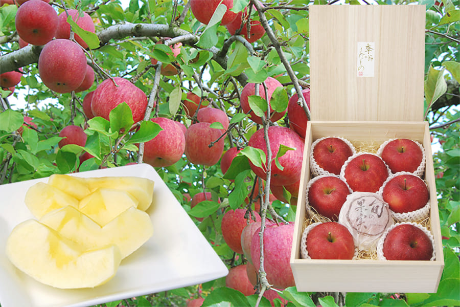 《旬果》プレミアム蜜入りふじりんご約1kg