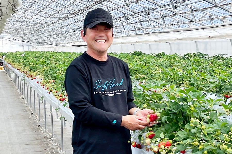 神町いちご倶楽部