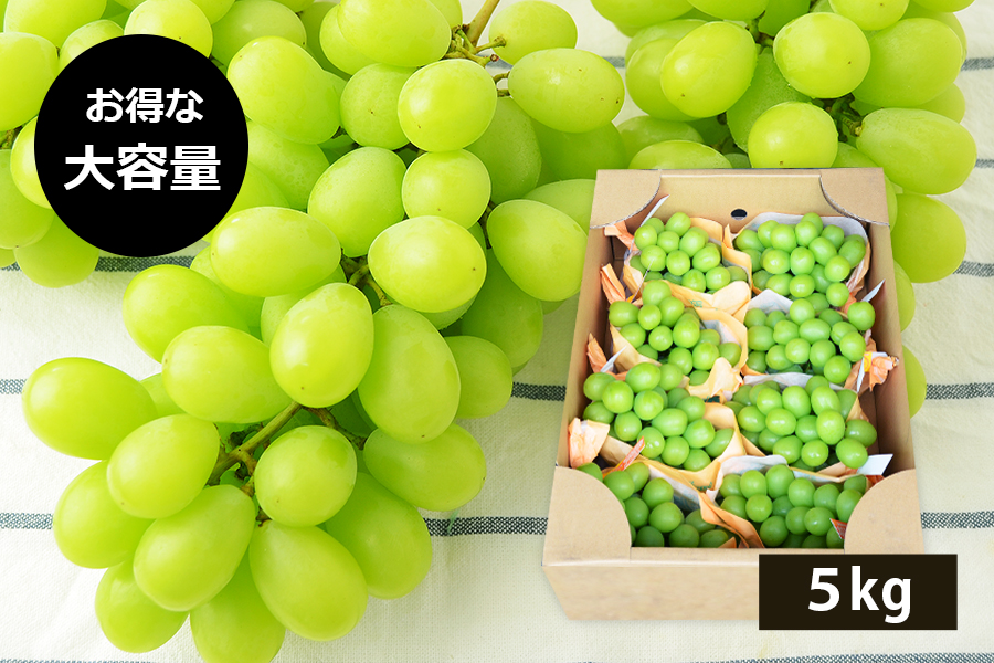 山形県産ぶどうシャインマスカット約5kg(6〜9房)