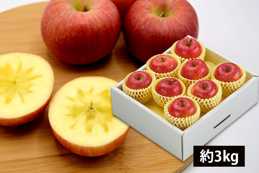 山形のりんご高徳(こうとく)約3kg(8〜18玉入)