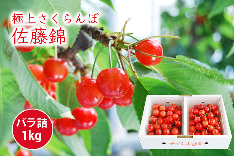 極上さくらんぼ佐藤錦バラ1kg 500g 2 極上さくらんぼ佐藤錦バラ1kg 500g 2