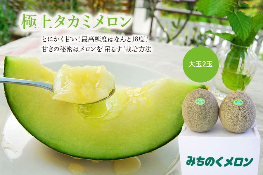 極上タカミメロン大玉2玉(青肉2玉)
