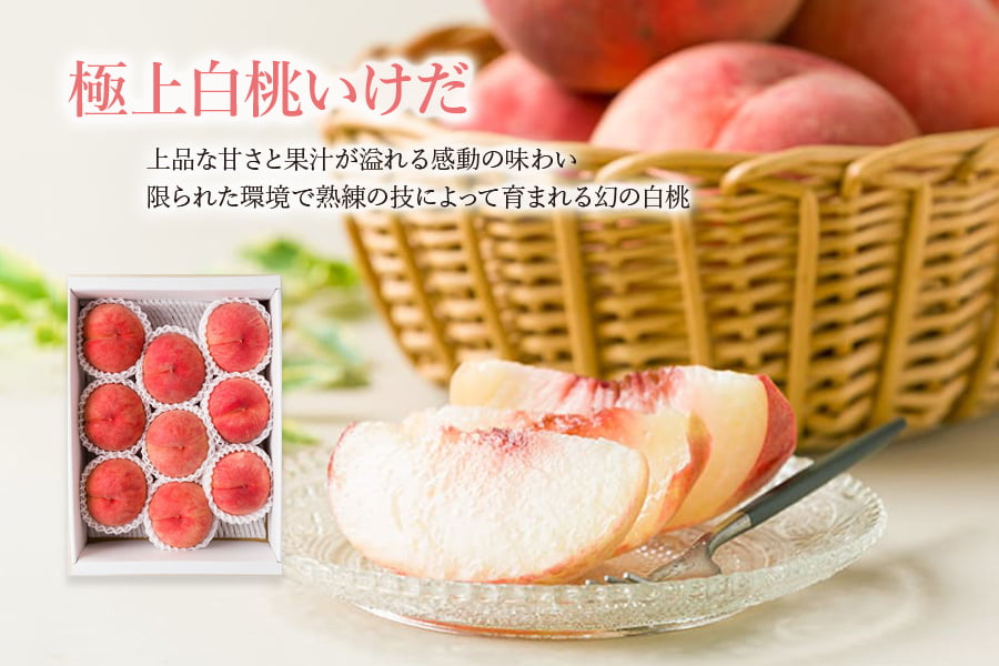 極上白桃 いけだ 約3kg(10玉前後)