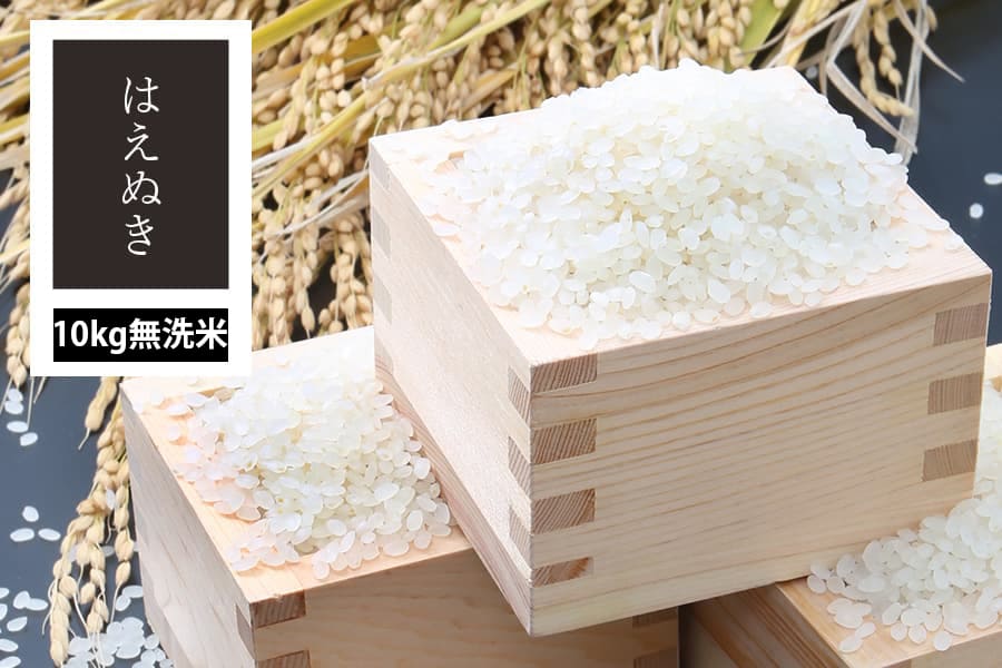 【定期購入】うまいず米／山形県産はえぬき5kg