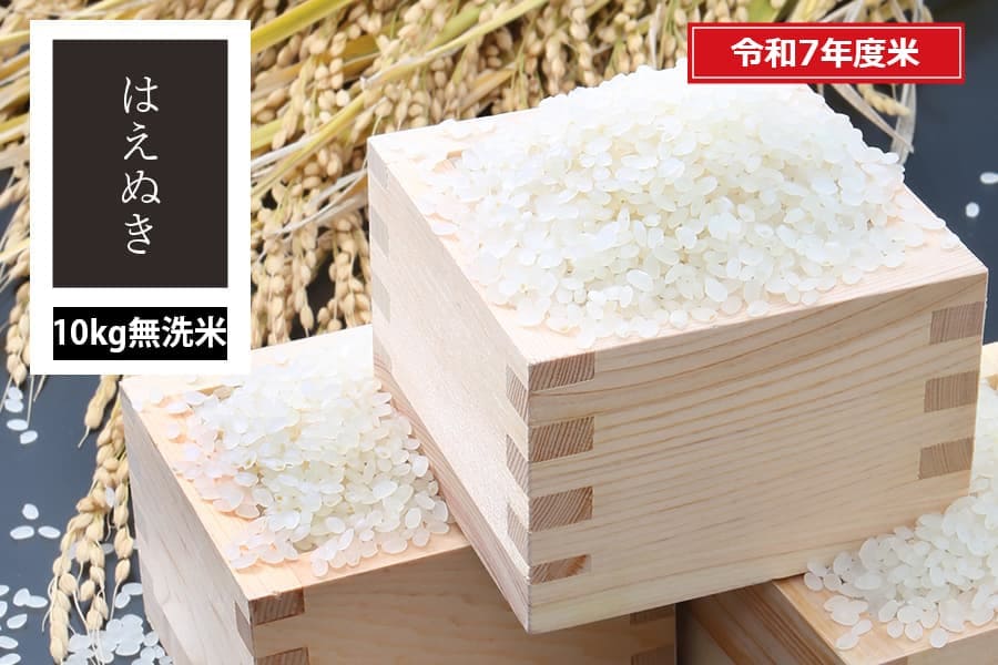 ☆山形県産 はえぬき5kg×2袋 10キロ 3/8発送☆