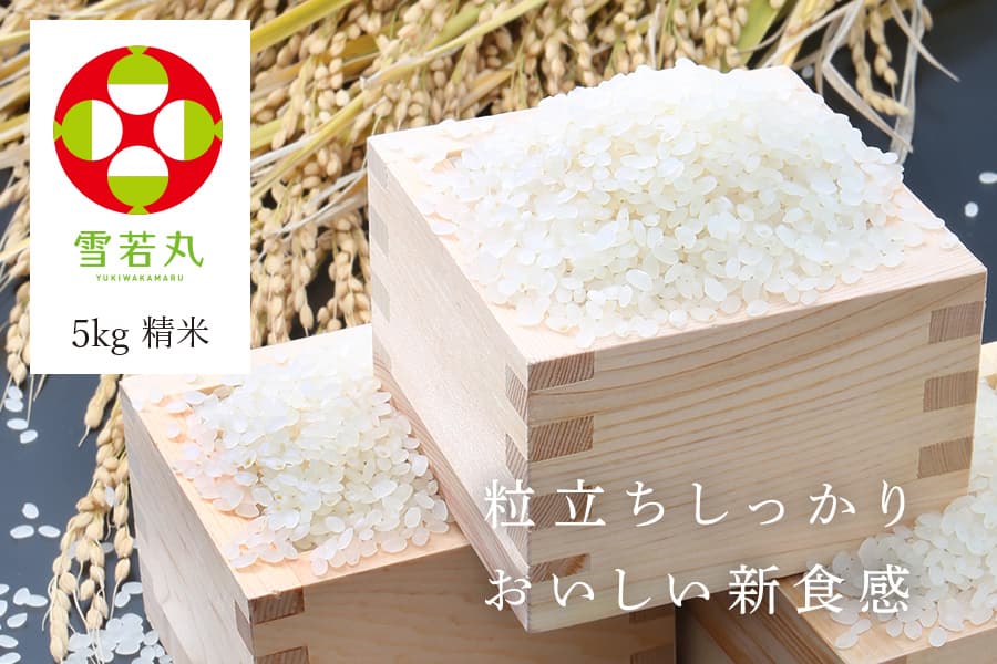 うまいず米》山形県産雪若丸5kg精米＜令和5年度産＞