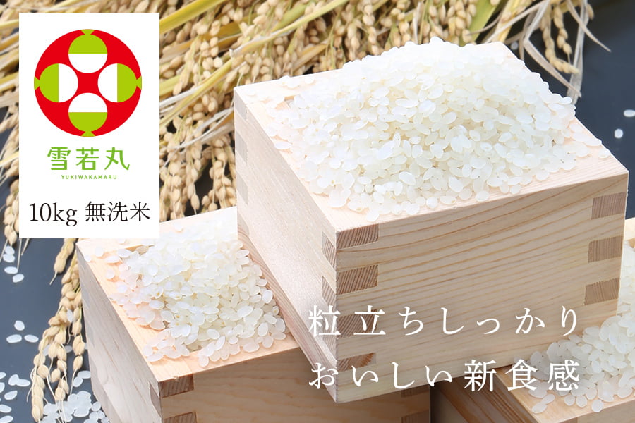 うまいず米》山形県産雪若丸10kg無洗米(5kg×2袋)＜令和5年度産＞