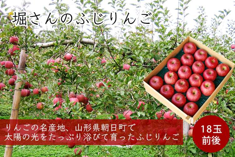 堀さんのふじりんご約5kg（18玉）