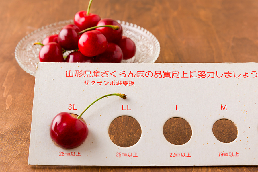 特選さくらんぼやまがた紅王