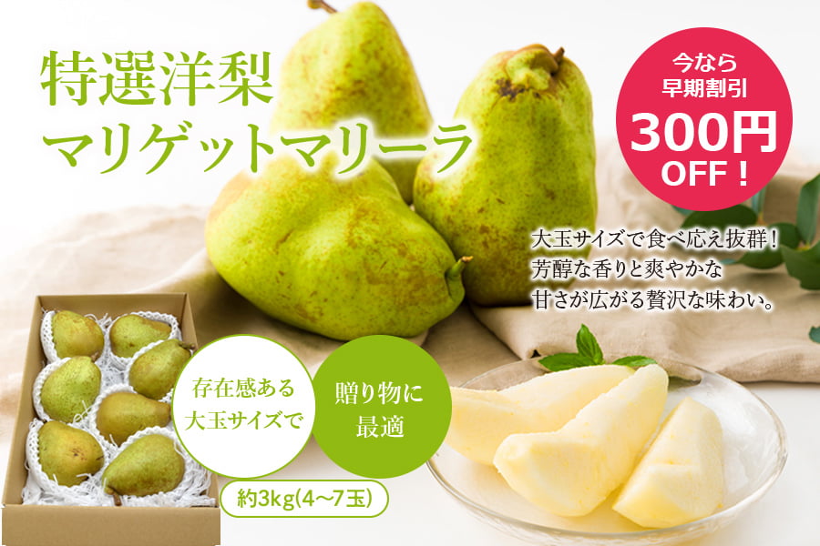特選洋梨マリゲットマリーラ約3kg(4〜7玉)