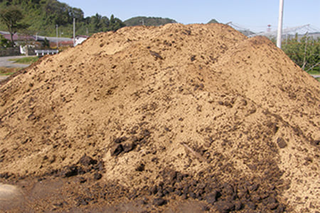 特選洋梨ラフランス約5kg(2L-18玉)