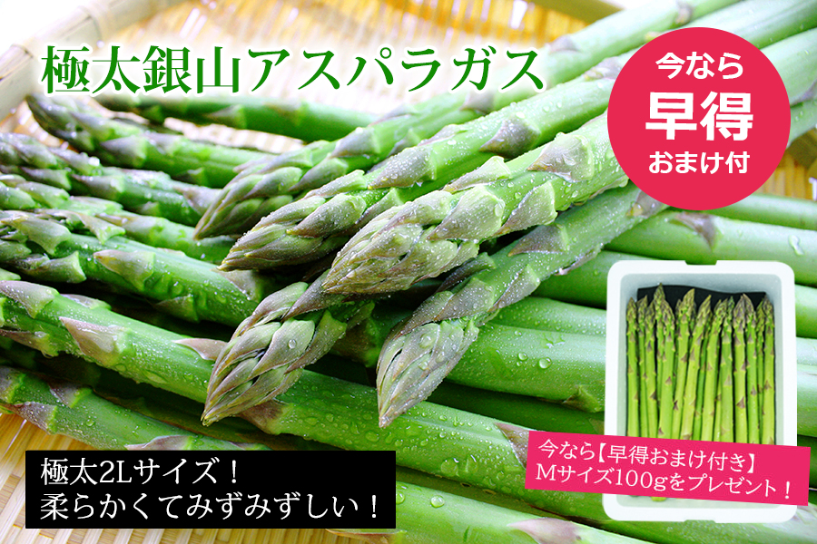 極太銀山アスパラガス"