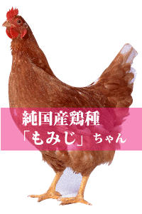 純国産鶏種もみじの卵 25個入 Lサイズ 純国産鶏種もみじの卵 25個入 Lサイズ