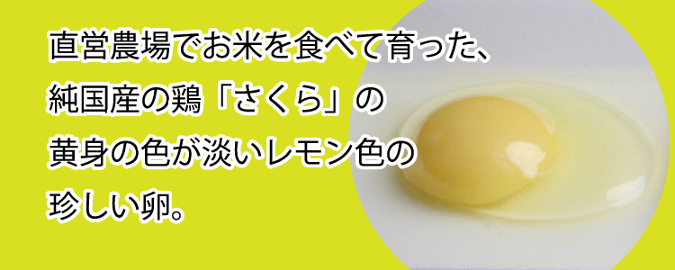 鶏卵 いではのさくら白 25個入 サイズミックス 鶏卵 いではのさくら白 25個入 サイズミックス