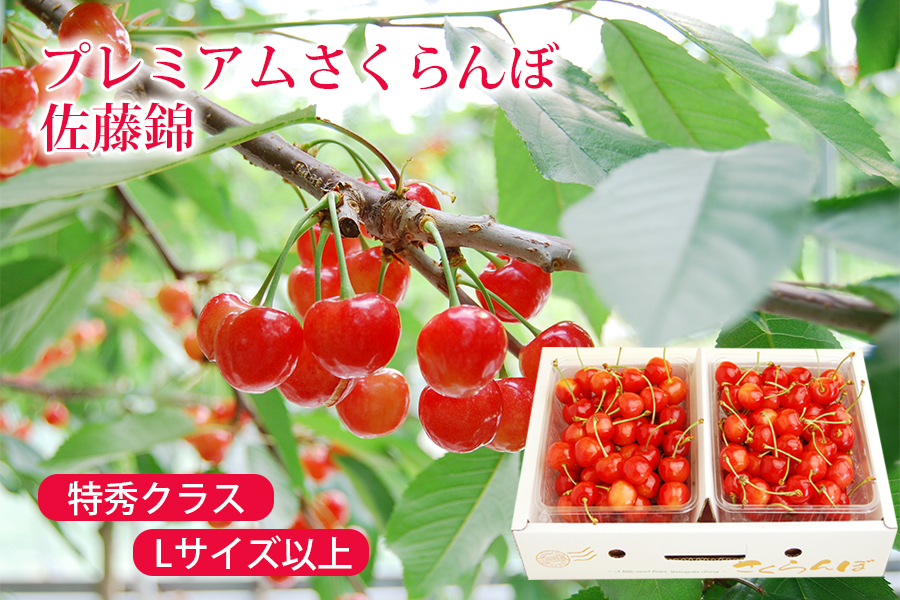 プレミアムさくらんぼ佐藤錦1kgバラ詰Lサイズ以上(500g×2)"
