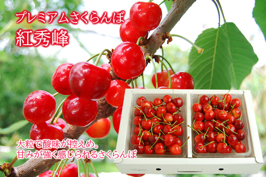 プレミアムさくらんぼ紅秀峰