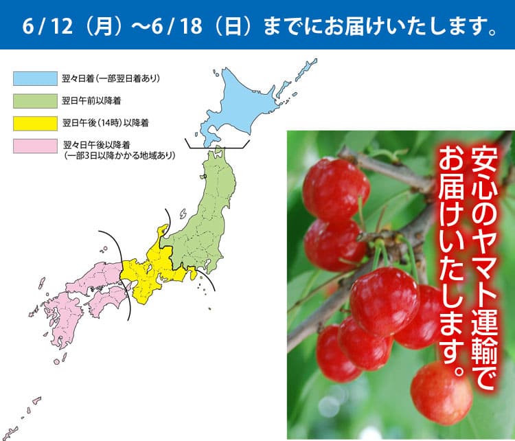 さくらんぼ佐藤錦