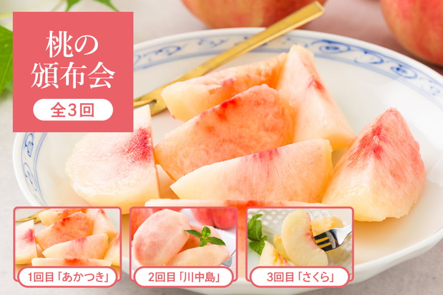 桃の頒布会】プレミアム白桃 約2kg計3回(あかつき・川中島・さくら)