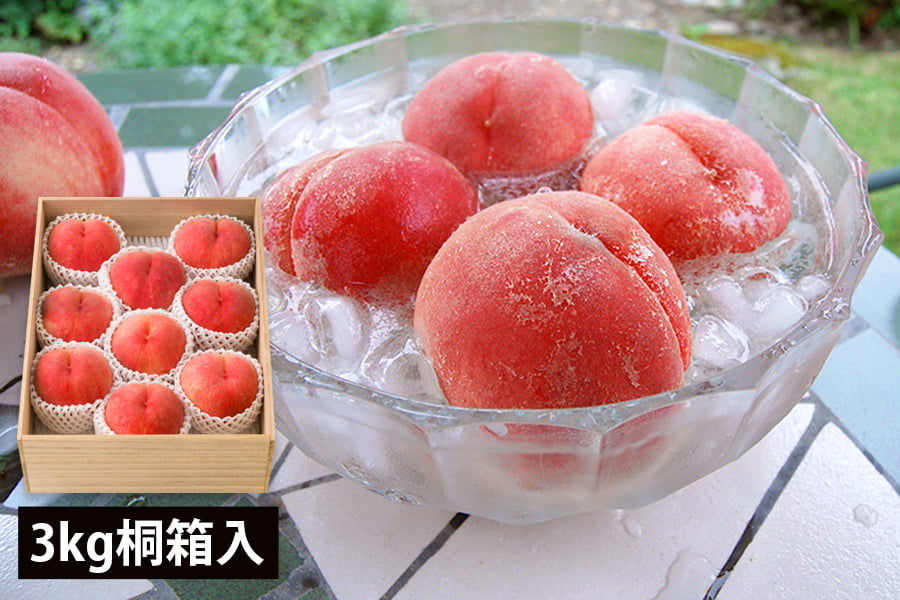 旬果》特秀プレミアム白桃3kg(6〜9玉)[桐箱入り]