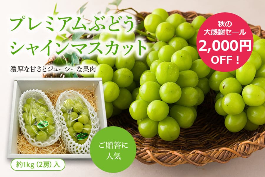 【秋の大感謝セール2000円OFF】プレミアムぶどうシャインマスカット約1kg(2房)