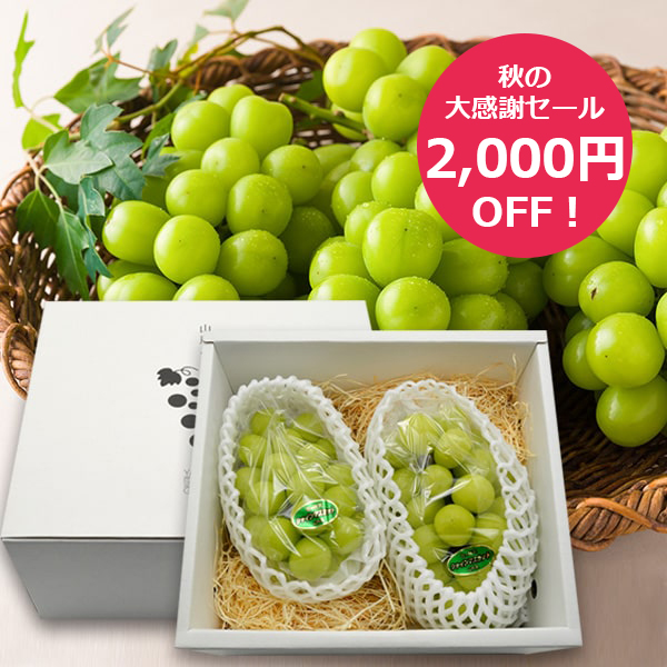 【秋の大感謝セール2000円OFF】今が旬！発送期間中|プレミアムぶどうシャインマスカット約1kg(2房)