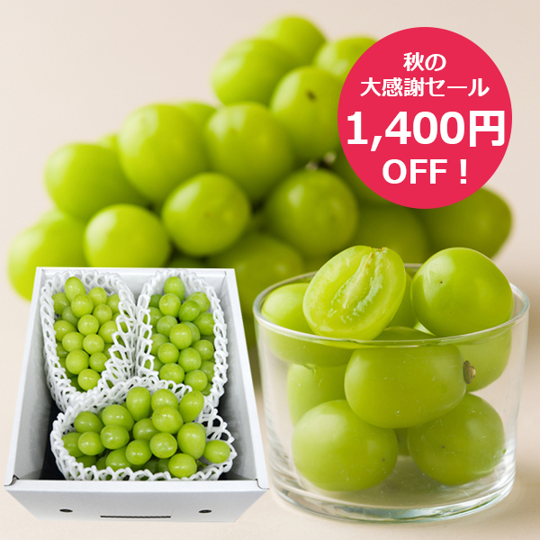 【秋の大感謝セール1400円OFF】今が旬！発送期間中|《ご家庭用》プレミアムぶどうシャインマスカット約1kg(3房前後)