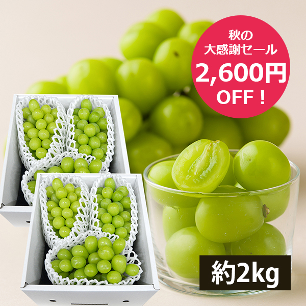 【秋の大感謝セール2600円OFF】今が旬！発送期間中|《ご家庭用》プレミアムぶどうシャインマスカット約2kg(6房前後)