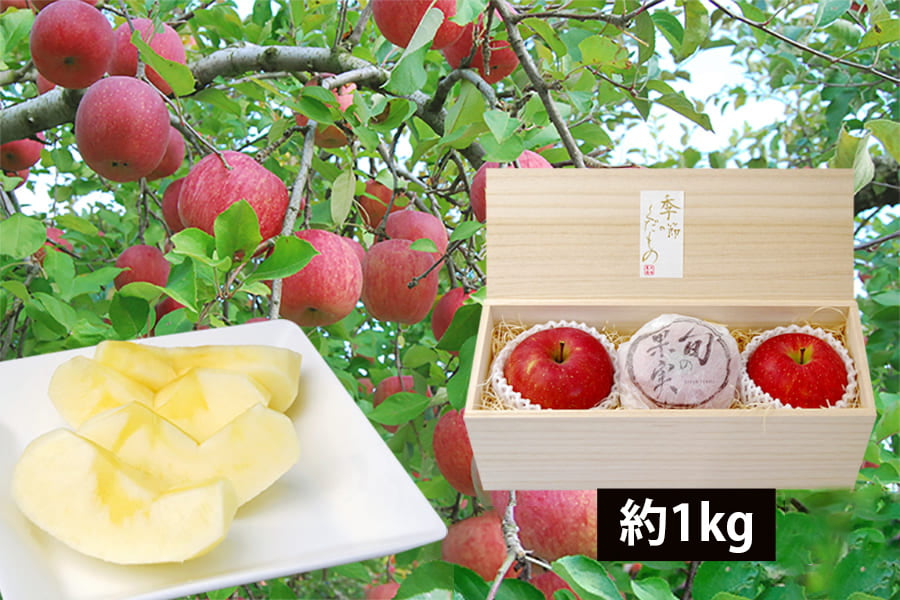 《旬果》プレミアムふじりんご約1kg(3玉)[桐箱入]