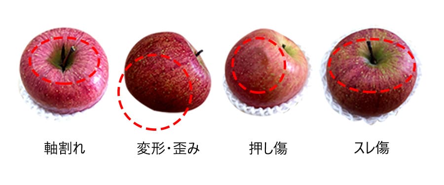 《訳あり》山形のふじりんご