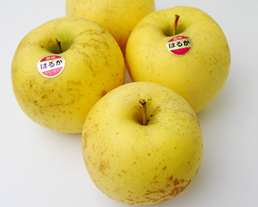 プレミアム蜜入りりんごはるか約2kg(6~9玉)