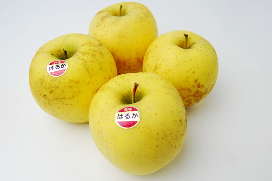 プレミアム蜜入りりんごはるか約2kg(6～9玉)