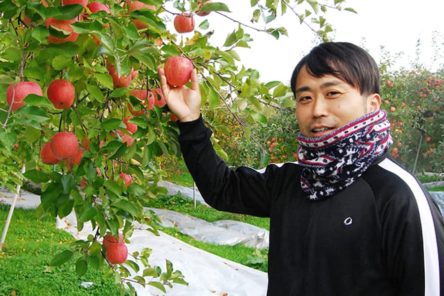 《訳あり》山形のふじりんご