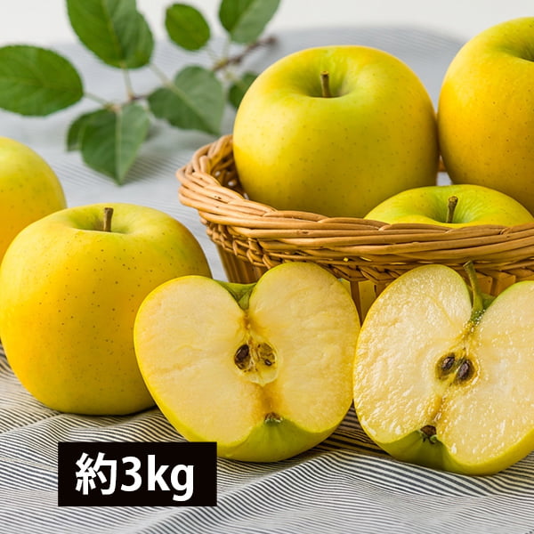 プレミアム秋の青りんご シナノゴールド約3kg(7〜12玉) 