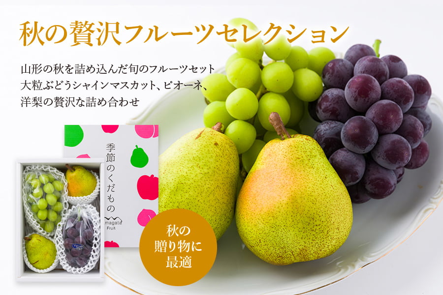 秋の贅沢フルーツセレクション